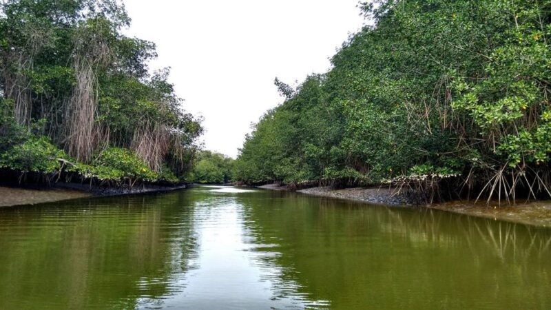tumbes-puerto-pizarro-islands-and-mangroves