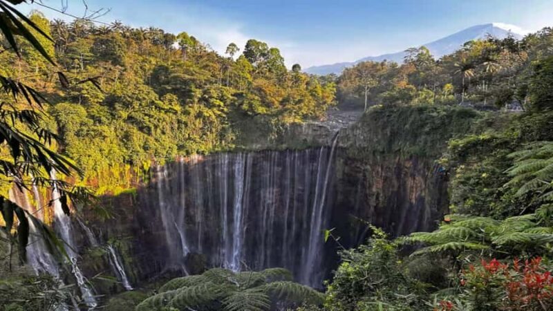 Tumpak Sewu: Private One-Day Trip from Surabaya or Malang - Who Is This Tour Best For?
