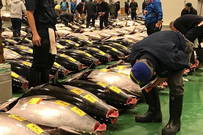 tuna-auction-and-market-tour-at-activity-maison-kissako