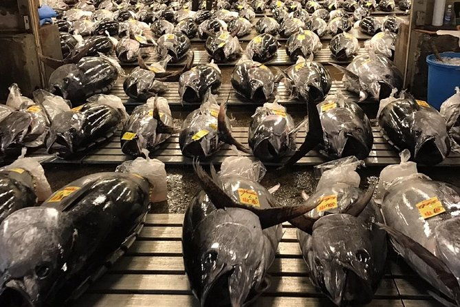 tuna-auction-and-market-tour-at-activity-maison-kissako