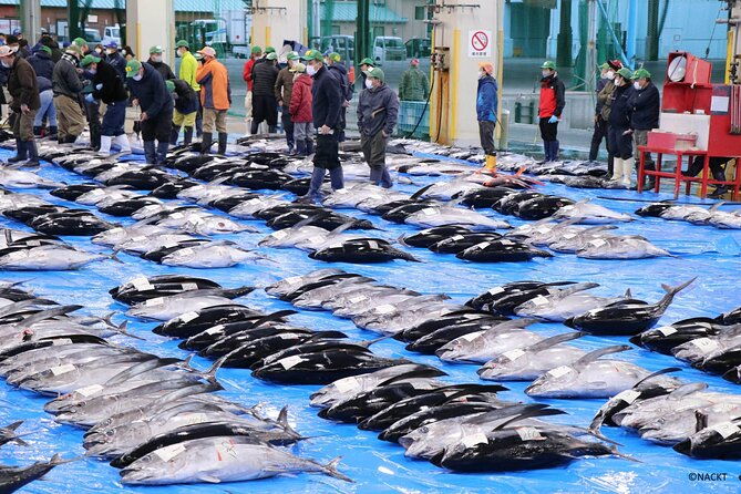 tuna-auction-market-guided-private-tour-in-nachi-katsuura