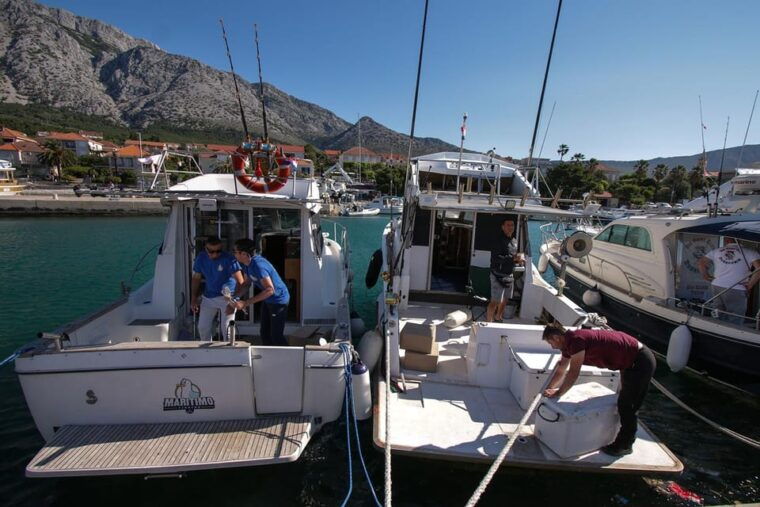 tuna-fishing-in-dubrovnik