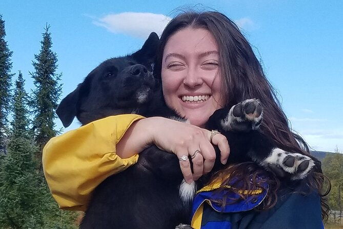 tundra-walk-with-free-running-sled-dogs