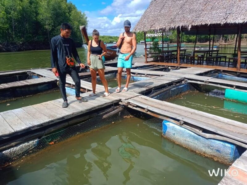tungyeepeng-amazing-mangrove-boat-trip-with-lunch