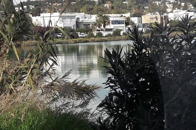 Tunis, Carthage and Sidi Bou Said Self-Guided Excursion from Hammamet - Final Thoughts