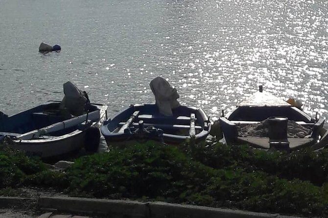 Tunis, Carthage and Sidi Bou Said Self-Guided Excursion from Hammamet - FAQ