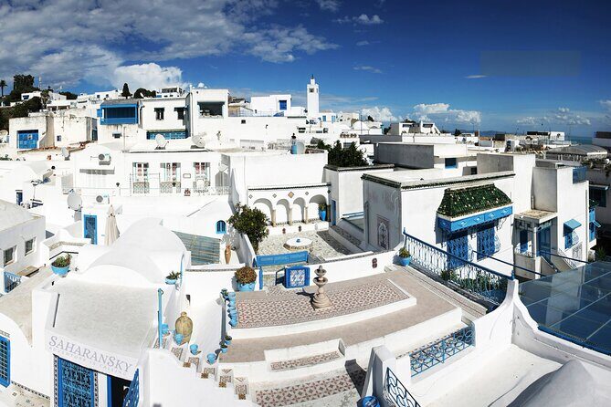 Tunis: Carthage, Bardo Museum, Sidi Bou Said & Medina Group Tour - Key Points