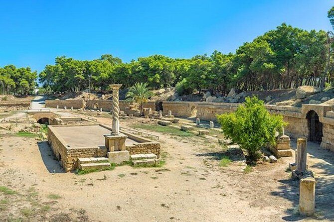 Tunis: Carthage, Bardo Museum, Sidi Bou Said & Medina Group Tour - FAQs