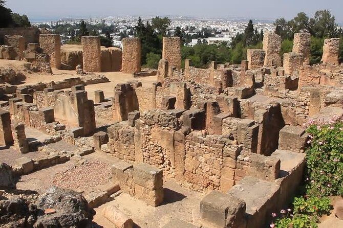 Tunis, Sidi Bousaid and Carthage Day Trip from Monastir - The Itinerary in Depth