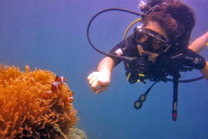 Tunku Abdul Rahman Marine Park Leisure Diving from Kota Kinabalu - Who Will Love This Tour?