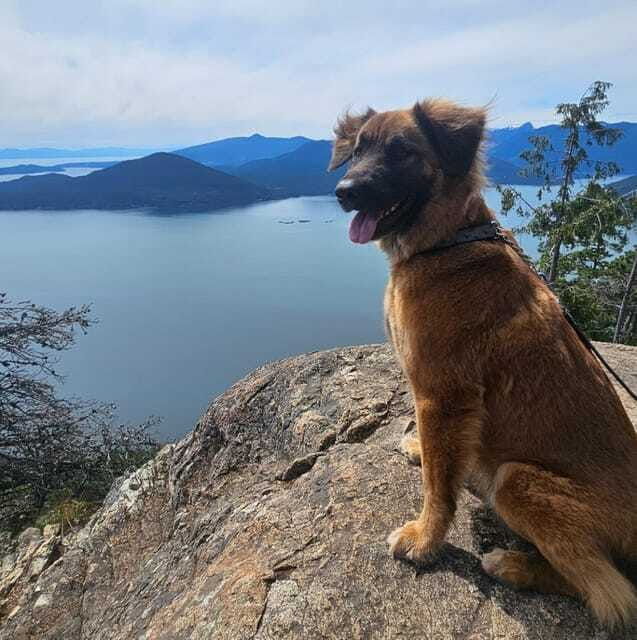 tunnel-bluffs-hiking-day-trip-vancouver