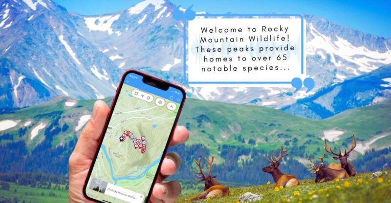 tunnel-mountain-trail-nature-tour-with-audio-guide