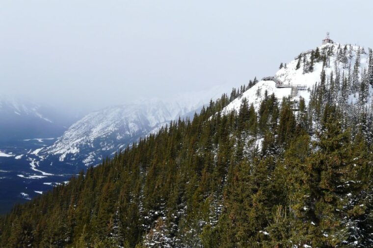 tunnel-mountain-trail-nature-tour-with-audio-guide