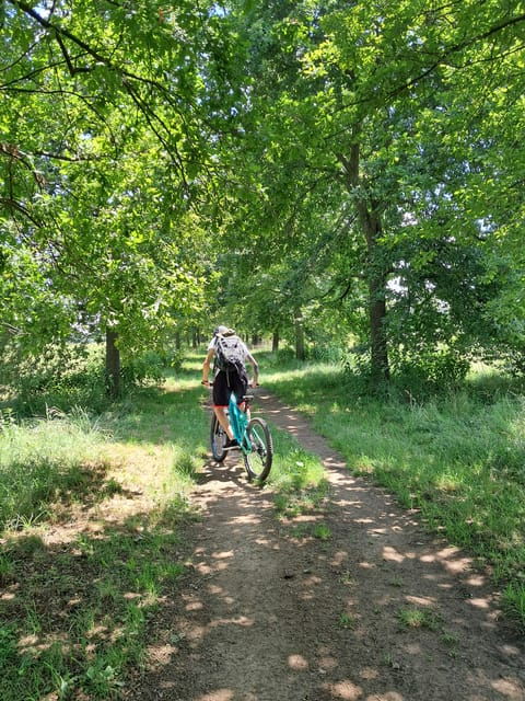 turin-e-bike-tour-venaria-reale-royal-gardens-castle
