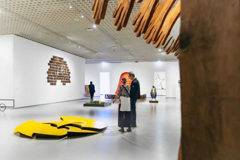 Turin: Gallery of Modern and Contemporary Art Entry Ticket - Who Should Consider This Tour?