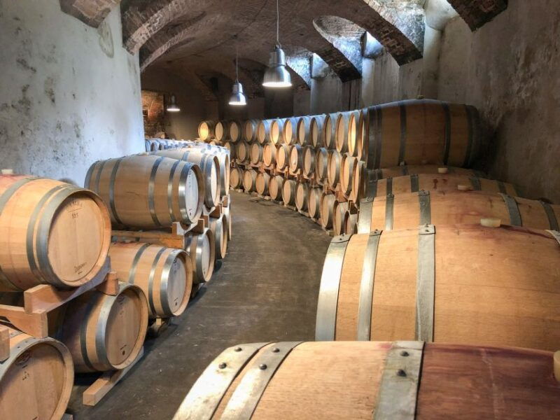 turin-langhe-wine-tour-with-private-transfers-and-lunch