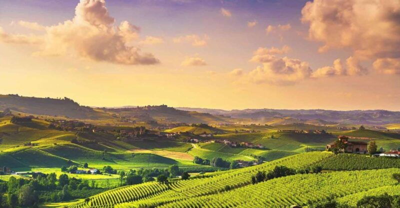 turin-langhe-wine-tour-with-private-transfers-and-lunch