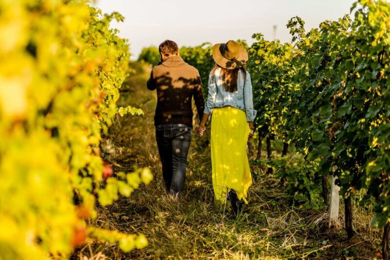 turin-langhe-wine-tour-with-private-transfers-and-lunch