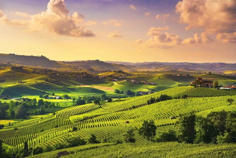 turin-langhe-wine-tour-with-private-transfers-and-lunch