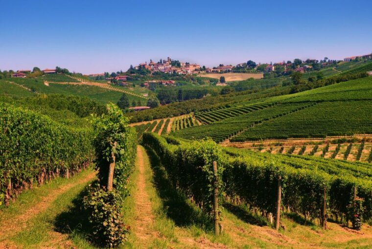 turin-langhe-wine-tour-with-private-transfers-and-lunch