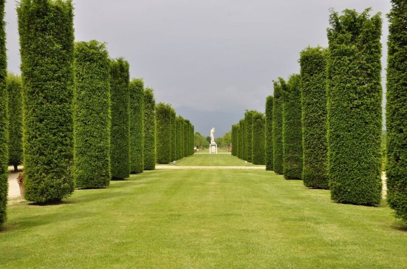 turin-palace-of-venaria-guided-tour
