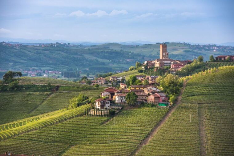 turin-private-barolo-wine-region-day-trip-with-lunch