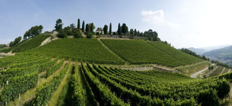 turin-private-barolo-wine-region-day-trip-with-lunch