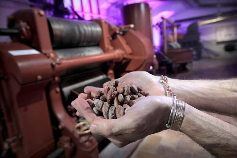 Turin: Visit to the Chocolate and Gianduja Museum, Choco-Story Torino - Final Thoughts