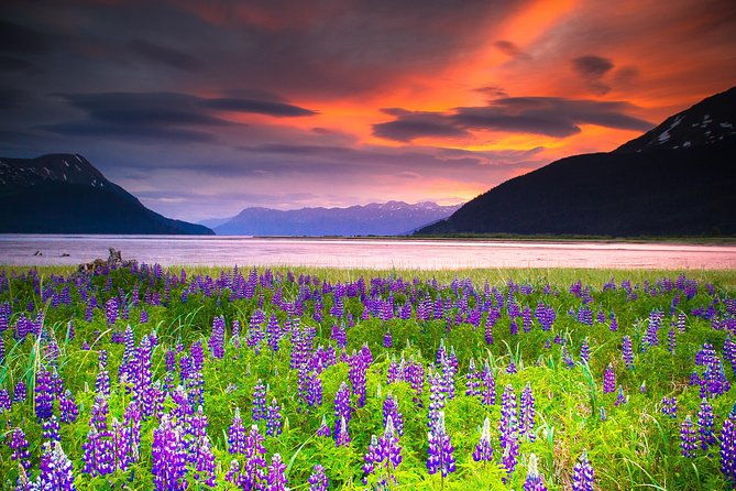 turnagain-arm-tour