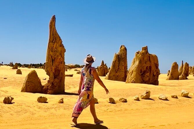 Turquoise Coast and Pinnacles Desert, Lunch Included. - Who Is This Tour Perfect For?