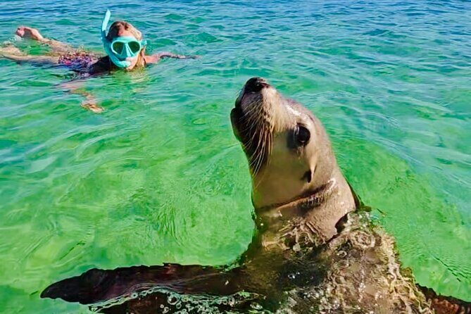 Turquoise Coast and Pinnacles Desert Private day Tour from Perth - Pickup and Meeting Point
