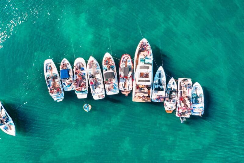TURTLE BOAT TOUR - An In-Depth Look at the Turtle Boat Tour