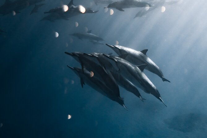 turtle-canyon-snorkel-tour-2