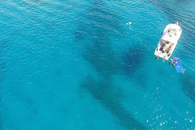 turtle-canyons-snorkel-excursion-from-waikiki-hawaii