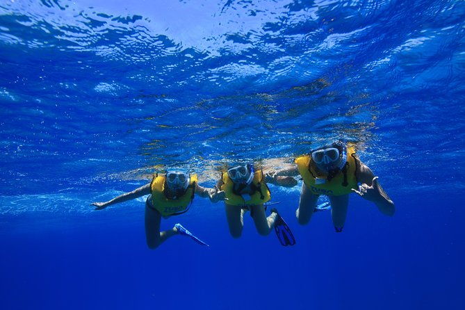 turtle-canyons-snorkel-excursion-from-waikiki-hawaii