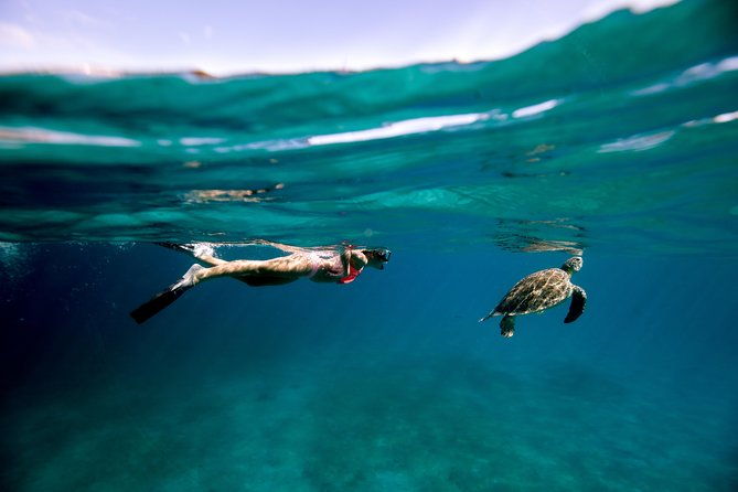 turtle-cove-catamaran-snorkel-and-sail-at-little-buck-island