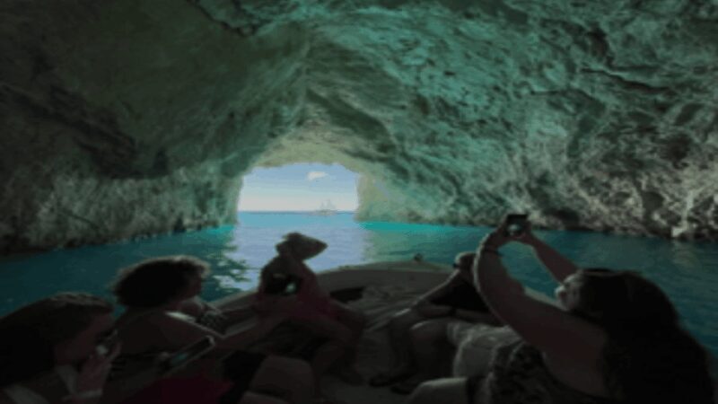 Turtle Cruise from 9 am or 12 noon or 3 pm for 3 hours - What to Expect from the Turtle Cruise