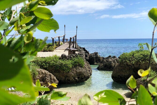Turtle Encounter with Yumi Tours - The Value of This Snorkel Tour