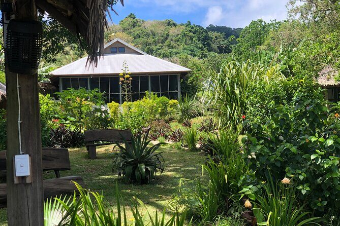 Turtle Encounter with Yumi Tours - The Sum Up: Is It Worth It?