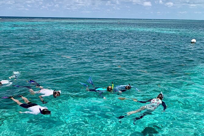 turtle-garden-snorkeling-tour-and-island-break