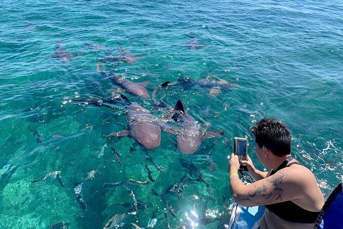 turtle-garden-snorkeling-tour-and-island-break