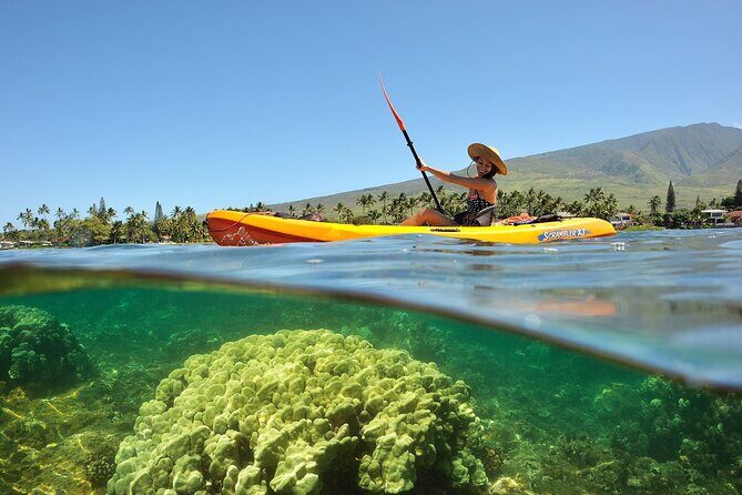 Turtle Reef Kayak Tour of Makena, Maui - Authentic Experiences & Authentic Guides