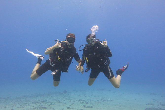 Turtle & Shark Scuba Dive in Lahaina: Certified - What to Expect on Your Lahaina Scuba Adventure