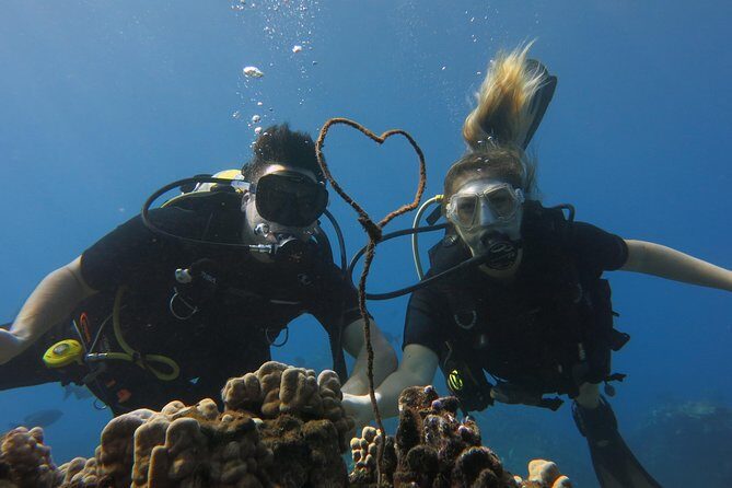Turtle & Shark Scuba Dive in Lahaina: Certified - Who Should Book This Tour?