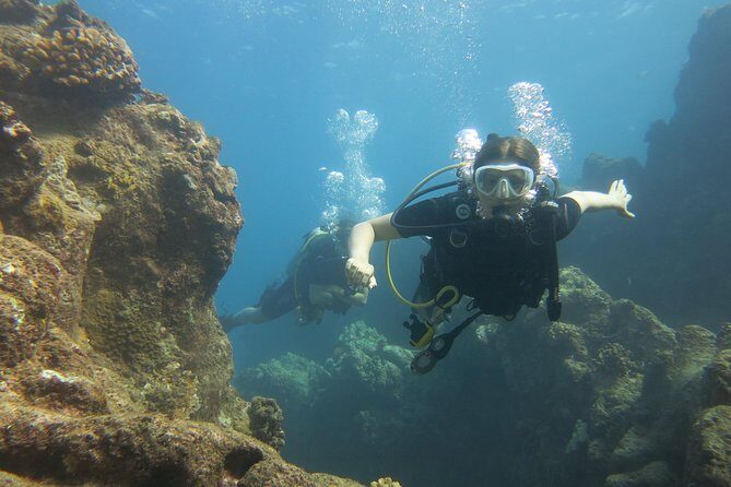 Turtle & Shark Scuba Dive in Lahaina: Certified - Frequently Asked Questions (FAQs)
