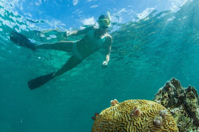 turtle-snorkel-sail-on-buck-island-from-frenchmans-reef