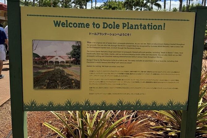 turtle-snorkeling-and-dole-plantation-guided-tour-in-oahu