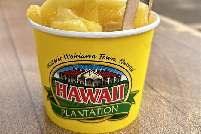turtle-snorkeling-and-dole-plantation-guided-tour-in-oahu