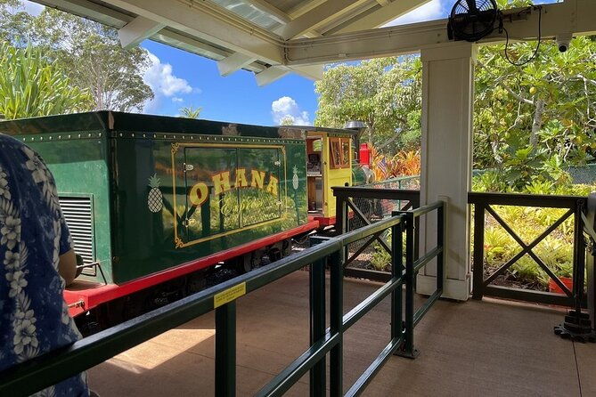 turtle-snorkeling-and-dole-plantation-guided-tour-in-oahu