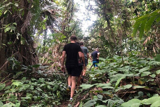 Turtle Tales of Pulau Banyak - The Experience: What to Expect on Your 2-Day Journey